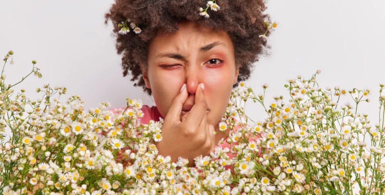 pollen count boise​