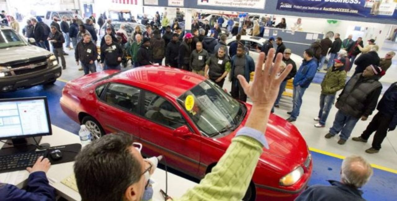 dealers auto auction murfreesboro