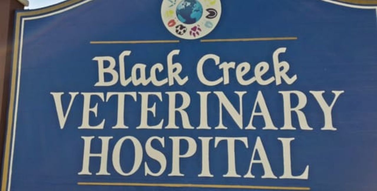 black creek veterinary hospital middleburg florida